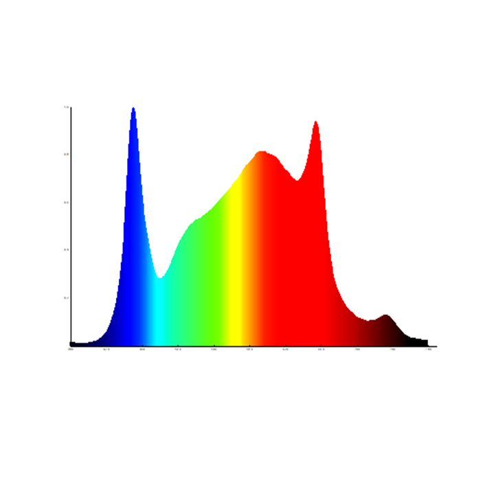 SPECTRUM.jpg